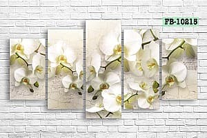 Tablou multicanvas Art.Desig Orhidee FB-10215