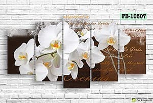 Tablou multicanvas Art.Desig Orhidee FB-10307