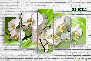 Модульная картина Art.Desig White orchid FB-10311