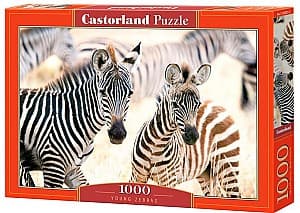 Puzzle Castorland C-105021