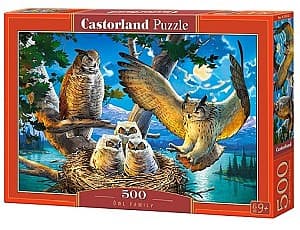 Puzzle Castorland B-53322