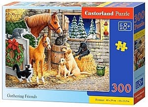 Puzzle Castorland B-030255