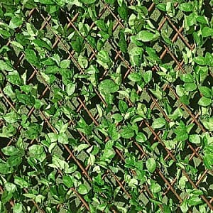 Plasa decorativa Greentech 19003 Willow-Rose