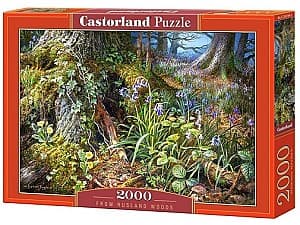 Puzzle Castorland C-200764