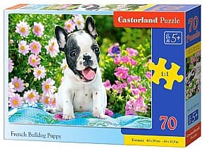 Puzzle Castorland B-070152