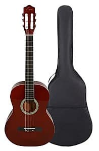 Классическая гитара Enjoy G3901 4/4 CF + чехол