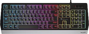 Tastatura pentru gaming  Genesis Rhod 300 NKG-1528
