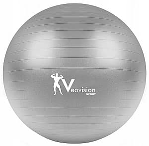 Мяч для фитнеса Veovision Sport Sport F9D Gray