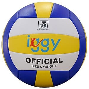 Мяч IGGY Волейбол 5 IGVB-BASIC