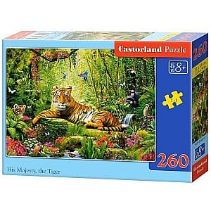 Puzzle Castorland B-27569
