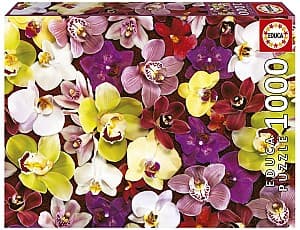 Пазлы Educa 1000 Orchid Collage
