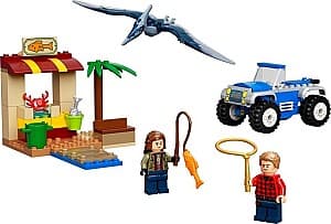 Конструктор LEGO Jurassic World: Pteranodon Chase 76943