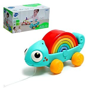 Jucarie de impins si tras Hola Toys Rainbow Chameleon