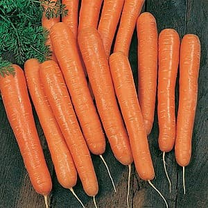 Семена моркови Vilmorin Тим Том