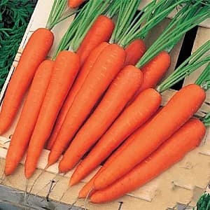 Семена моркови Vilmorin Престо F1