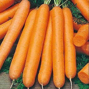 Семена моркови Vilmorin Маэстро F1