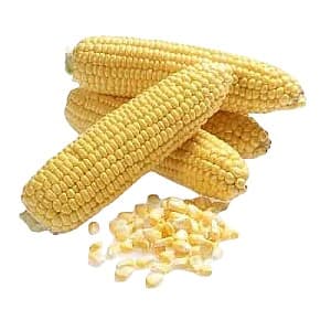 Семена кукурузы May-Seed Карамелло F1