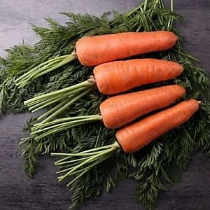 Семена моркови Pop Vriend Роял Шантене
