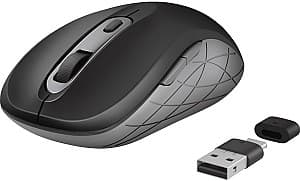 Компьютерная мышь Trust Duco Wireless Mouse Dual Connect Black