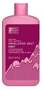 Шампунь Family Forever Factory Himalayan Salt Mint