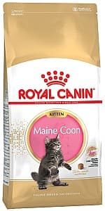 Нrană uscată pentru pisici Royal Canin KITTEN MAINE COON 2kg