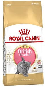 Нrană uscată pentru pisici Royal Canin British Shorthair Kitten 2kg