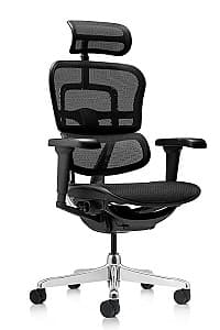 Офисное кресло ART Ergohuman Ultra Black W09-01 EHU-AB-HAM-4D