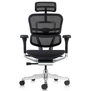 Офисное кресло ART Ergohuman Elite 2 Black T-168-B1 EHE2-AB-HAM-5D-L