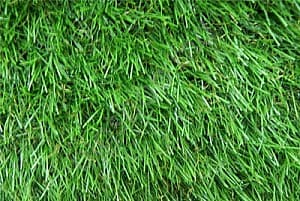 Iarba artificiala All Home Eco Bahar Grass Carpet 29mm