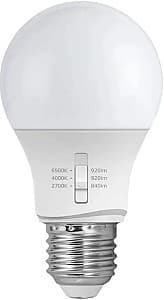 Лампа Fumagalli HLEDA60CCT