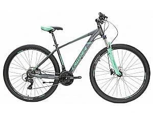 Bicicleta de munte Crosser 075 29/19 21S Shimano+Logan Hidraulic Gray/Green