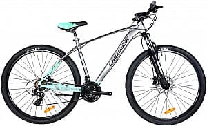 Bicicleta de munte Crosser X880 29/19 21S Shimano+Logan Hidraulic Gray/Green
