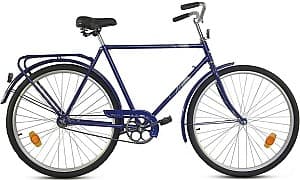Bicicleta de oras Aist 111-353 Blue