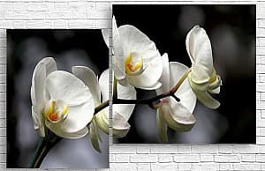Модульная картина Art.Desig Орхидея на черном фоне