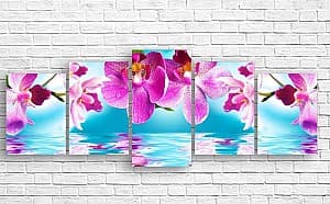 Tablou multicanvas Art.Desig Orhidee roz în apă