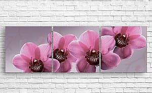 Tablou multicanvas Art.Desig Liliac Orhidee pe fond de liliac_2