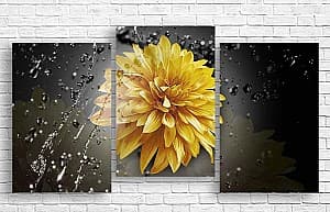 Tablou multicanvas Art.Desig Crizanteme galbene și picături de apă