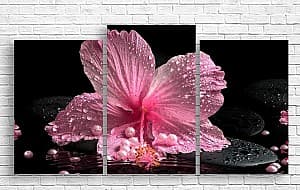 Tablou multicanvas Art.Desig Liliac Orhidee pe fundal negru