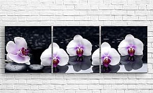 Tablou multicanvas Art.Desig Orchidee in nuance deschisa pe fundal închis