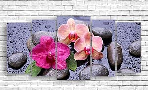Tablou multicanvas Art.Desig Orhidee pe fundal închis și picături de rouă_2