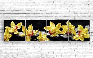 Tablou multicanvas Art.Desig Orhidee galbenă pe fundal închis