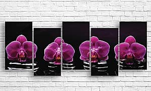 Tablou multicanvas Art.Desig Orhidee pe fundal închis