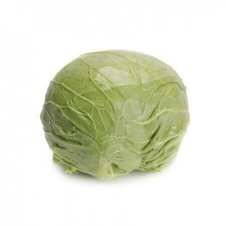 Seminte de varza alba Rijk Zwaan Zarissima F1