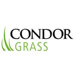 Condor Grass