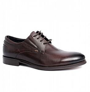 Pantofi NL 5001-116-52 Black-Brown