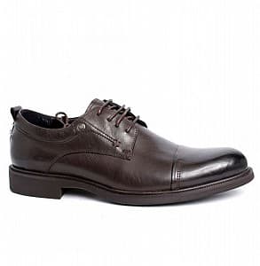 Pantofi NL 57-23-745 Brown