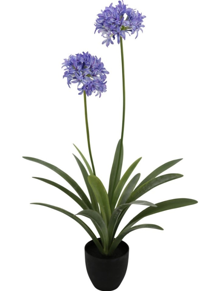 Flori artificiale OEM/ODM Narcissus 108cm (Green/Purple)
