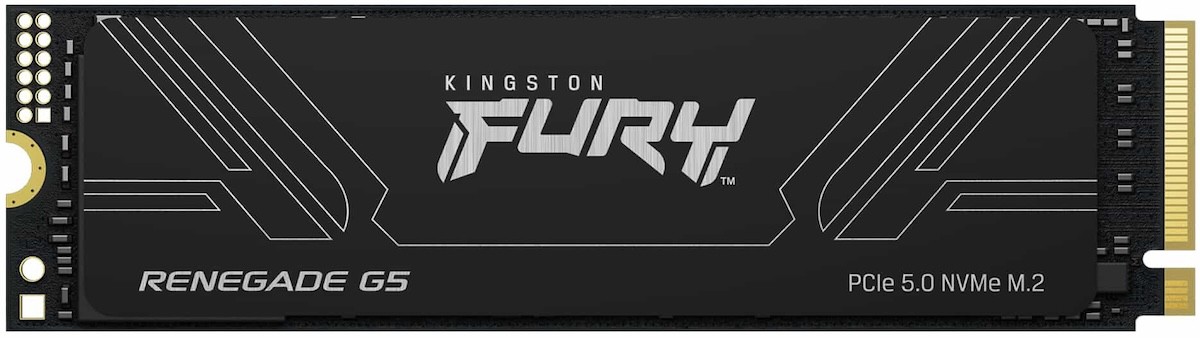 Kingston Fury Renegade
