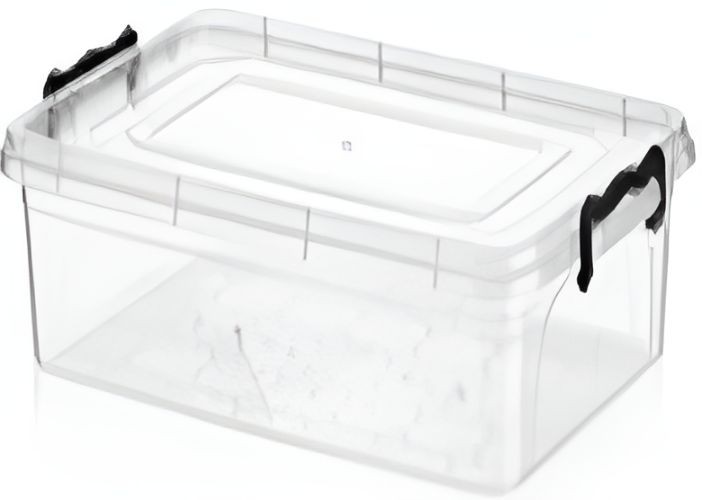 Set de recipiente alimentare Bee AK244