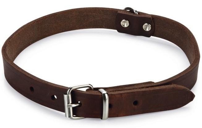 Zgarda pentru pisici Beeztees Brown (735349)